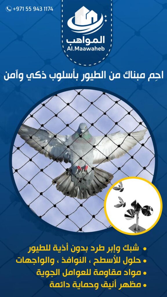 حماية المباني من الطيور